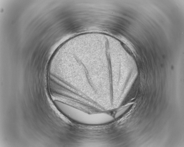 X0000086981142200705141709