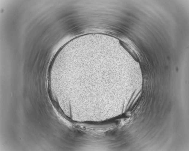 X0000086981143200705141709