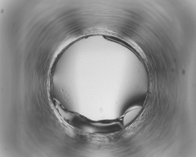 X0000086981144200705141709