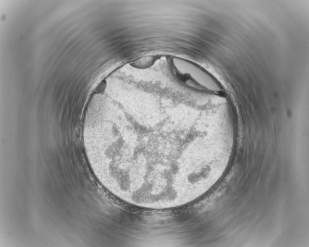 X0000086981145200705141709