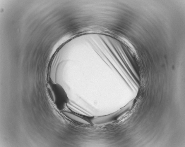 X0000086981146200705141709