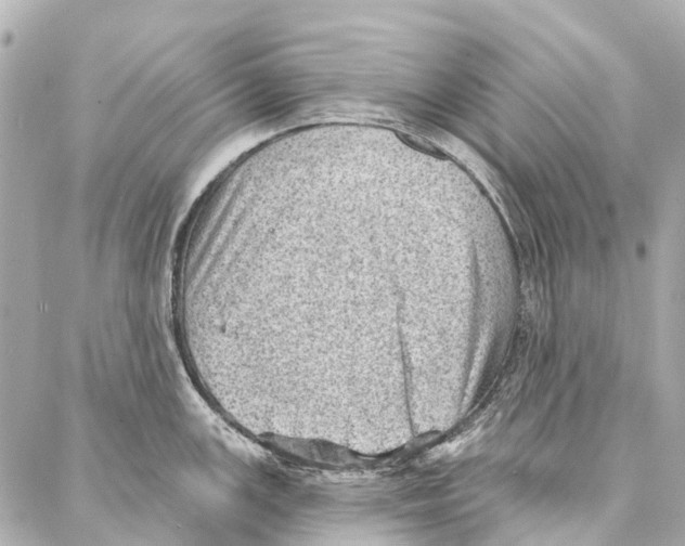 X0000086981147200705141709