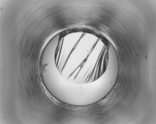 X0000086981148200705141709