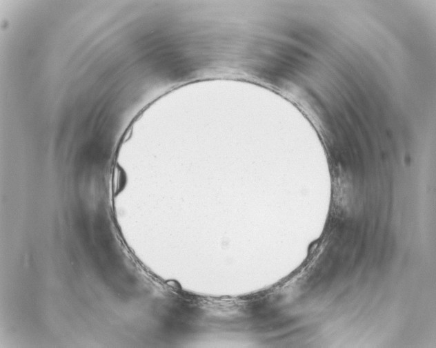 X0000086981150200705141709