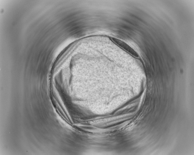 X0000086981151200705141709