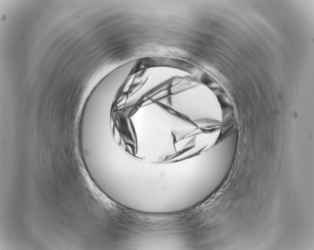 X0000086981152200705141709