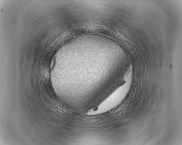 X0000086981155200705141709