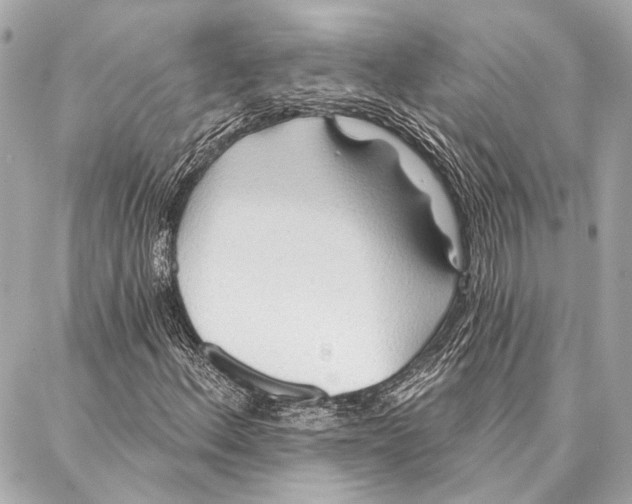 X0000086981156200705141709