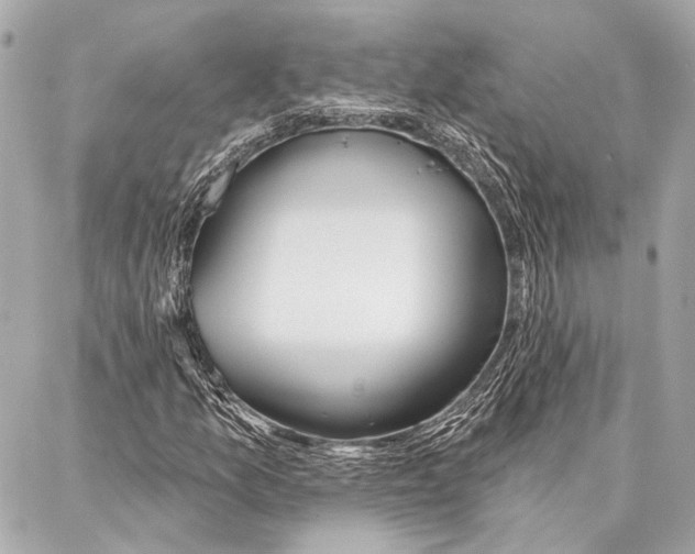 X0000086981157200705141709