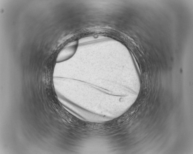 X0000086981158200705141709