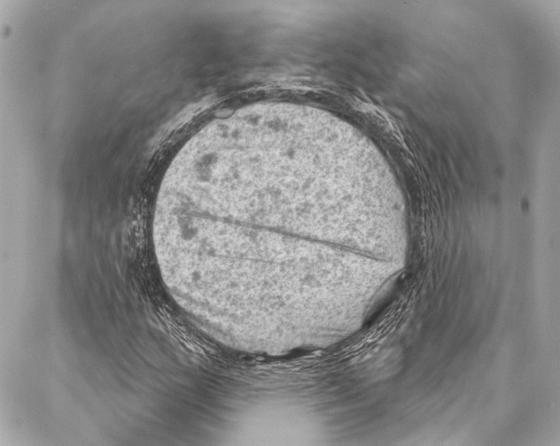 X0000086981159200705141709