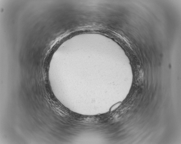 X0000086981160200705141708