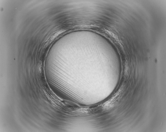 X0000086981161200705141708