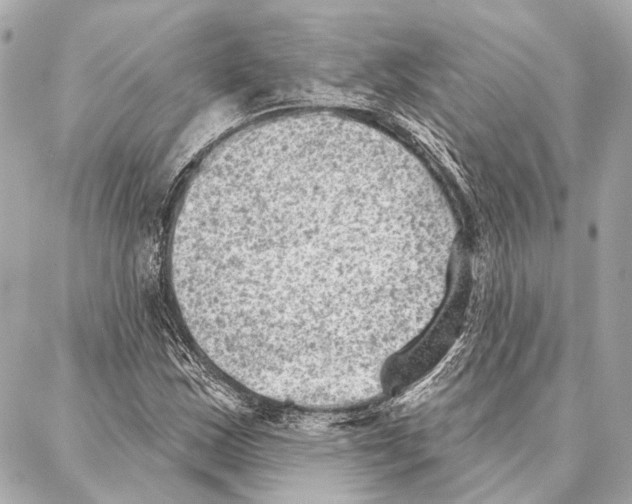 X0000086981163200705141708