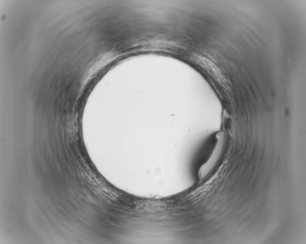 X0000086981164200705141708