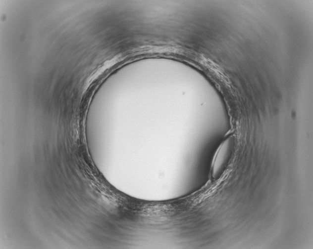 X0000086981165200705141708