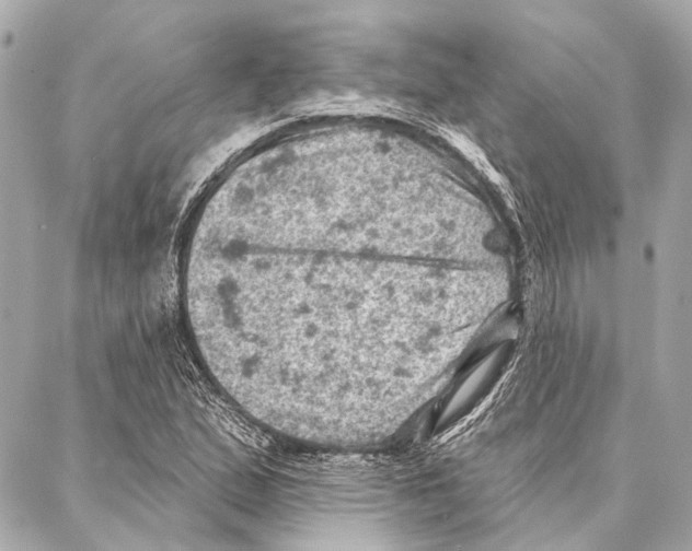 X0000086981167200705141708