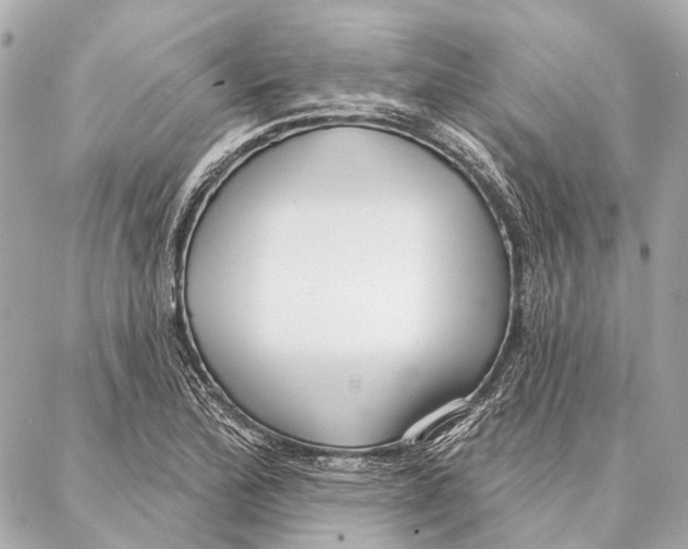 X0000086981172200705141708