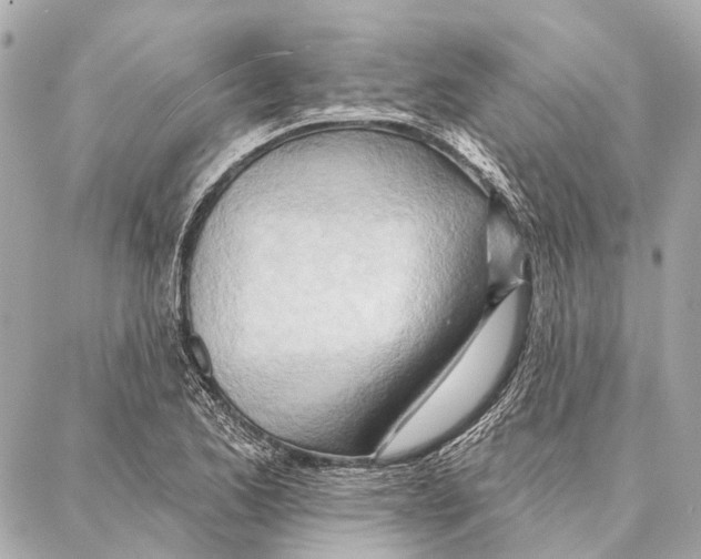 X0000086981173200705141708