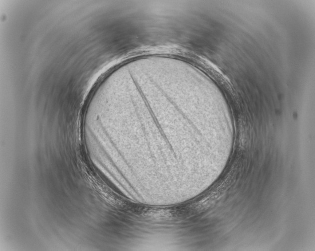 X0000086981174200705141708