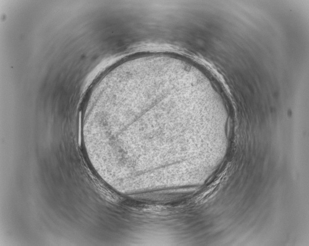 X0000086981175200705141708