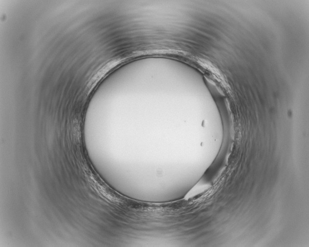 X0000086981177200705141708