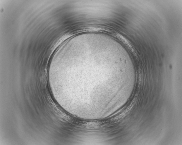 X0000086981178200705141708