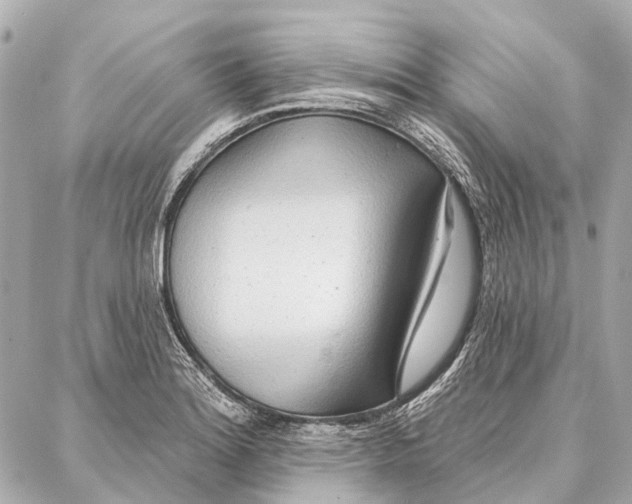 X0000086981180200705141708