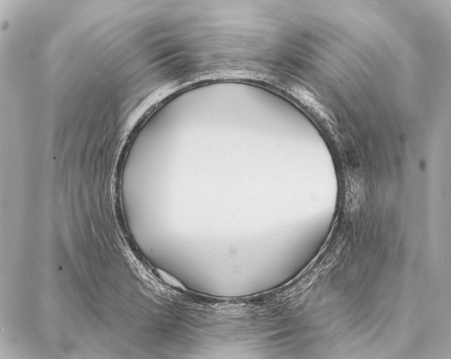 X0000086981181200705141708