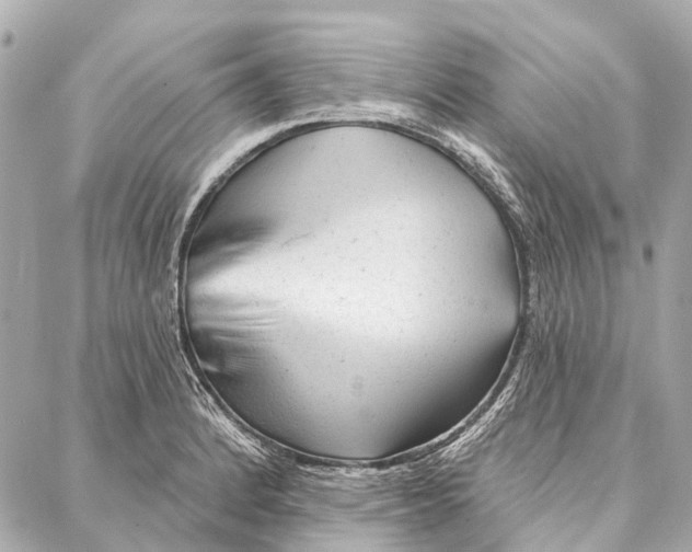 X0000086981184200705141708