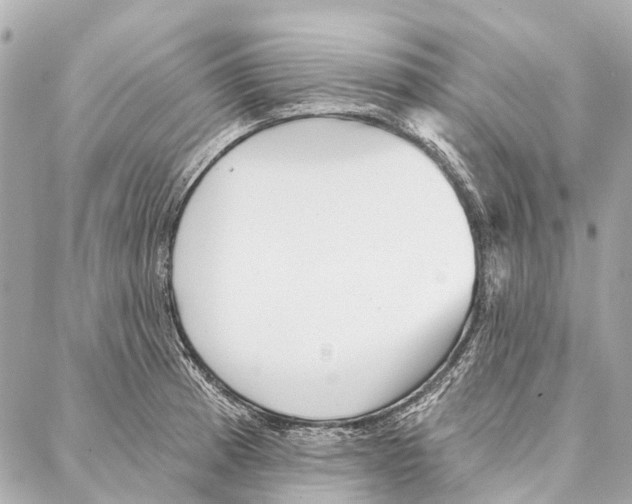 X0000086981185200705141708