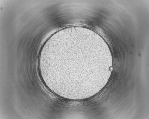 X0000086981187200705141708