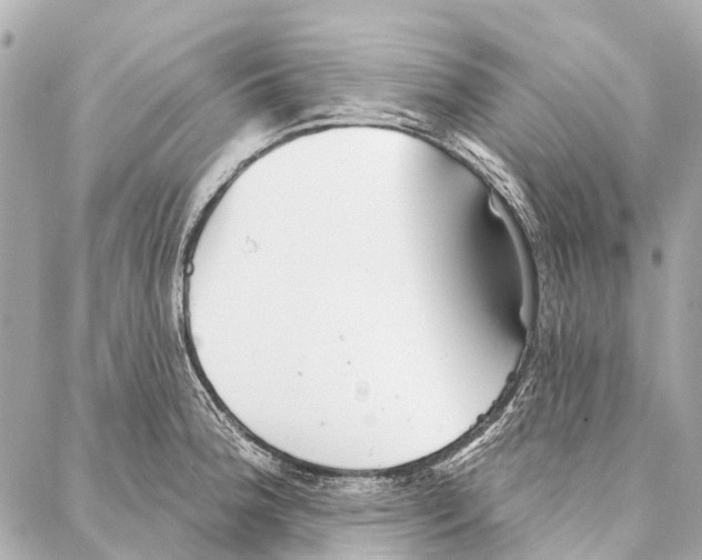 X0000086981188200705141708