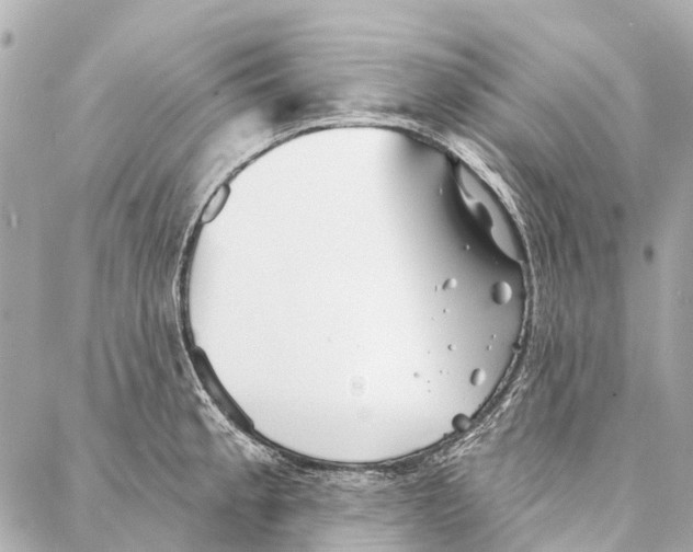 X0000086981189200705141708