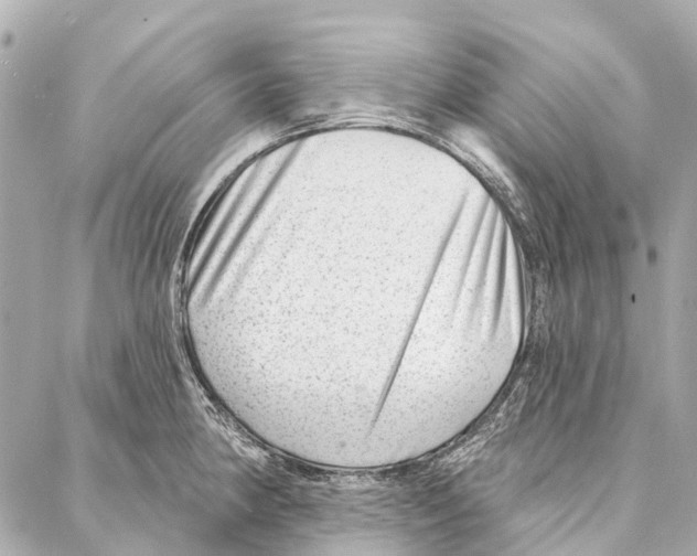 X0000086981190200705141708