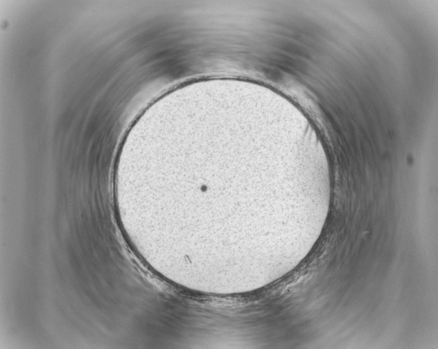 X0000086981191200705141708