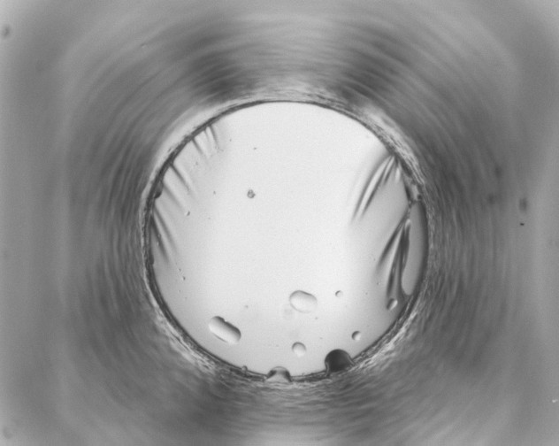 X0000086981192200705141708