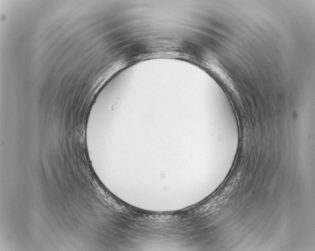 X0000086981193200705141708