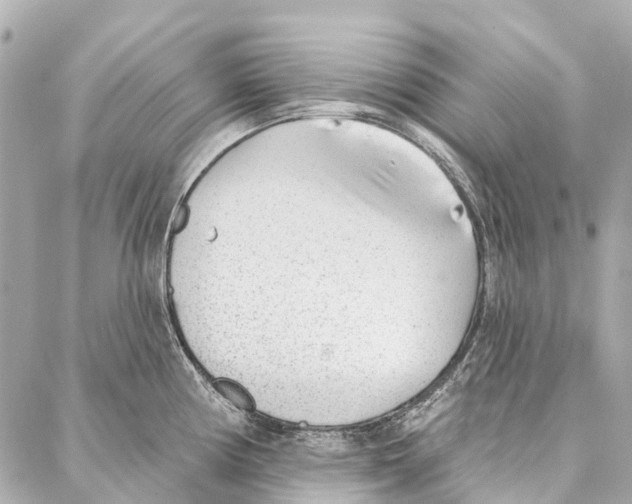 X0000086981194200705141708