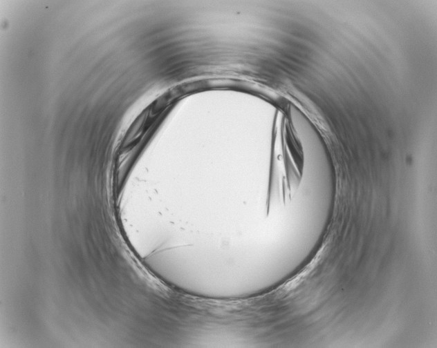 X0000086981196200705141708