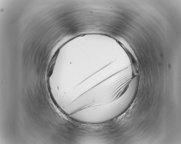 X0000086981197200705141708