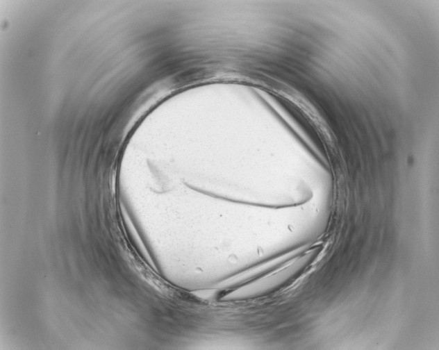 X0000086981198200705141708