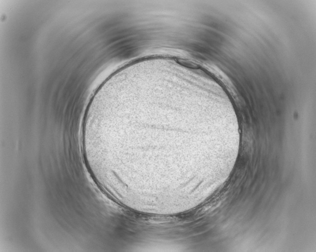 X0000086981199200705141708