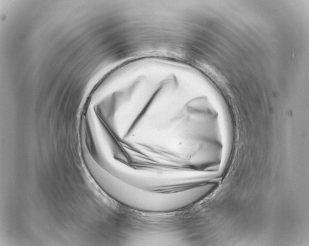 X0000086981200200705141708