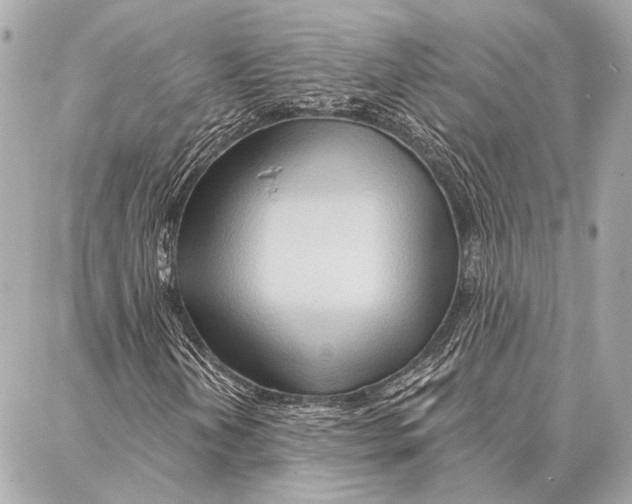 X0000086981202200705141707