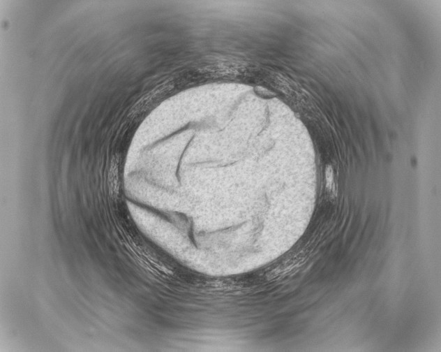 X0000086981203200705141707