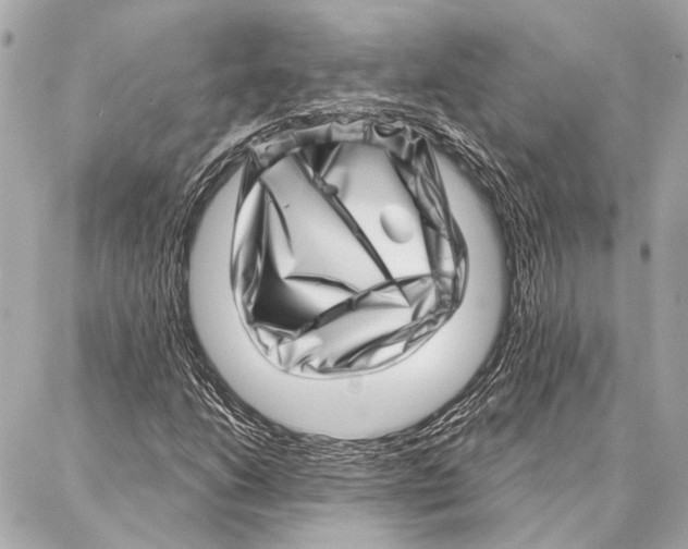 X0000086981206200705141707