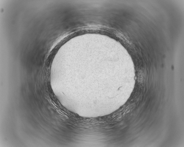 X0000086981208200705141707