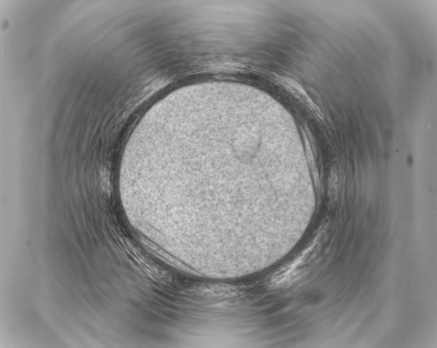 X0000086981209200705141707