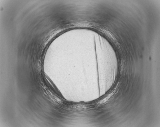 X0000086981212200705141707